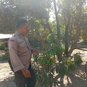 Gotong Royong Warga Dusun Begende Dukung Ketahanan Pangan Nasional