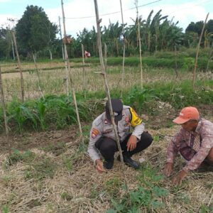 Bhabinkamtibmas Kuripan Ajak Warga Kembangkan Pertanian Keluarga untuk Ketahanan Pangan