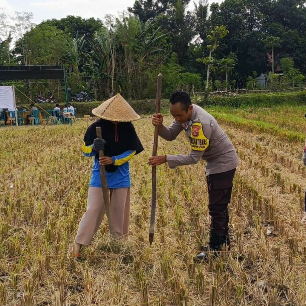 Polsek Kuripan Dukung Petani Jagung Kuripan Utara Tingkatkan Ketahanan Pangan