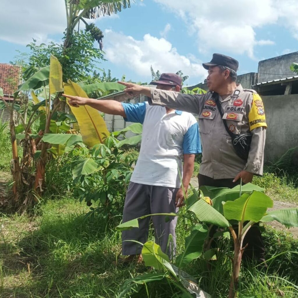 Dusun Dawung Gerakkan Swasembada Pangan dari Pekarangan Rumah