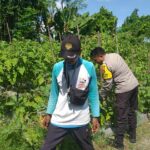 Polsek Kuripan Dorong Ketahanan Pangan di Desa Jagaraga