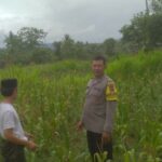 Bhabinkamtibmas Sekotong Tengah Dorong Pemanfaatan Lahan Pekarangan untuk Ketahanan Pangan