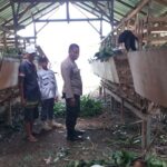 Ketahanan Pangan Dimulai dari Desa: Aksi Bhabinkamtibmas Kuripan Timur