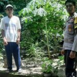 Bengkaung Batulayar Kembangkan Pekarangan Bergizi untuk Ketahanan Pangan