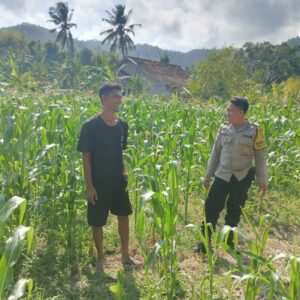 Bhabinkamtibmas Cendi Manik Dukung Ketahanan Pangan Lewat DDS di Sekotong