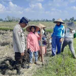 Bhabinkamtibmas Montong Are Dorong Ketahanan Pangan Lewat Pendekatan Humanis