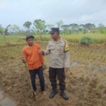 Bhabinkamtibmas Desa Montong Are Dorong Ketahanan Pangan Lokal
