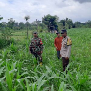 Bhabinkamtibmas Montong Are Dukung Petani Tingkatkan Ketahanan Pangan