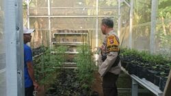 Sinergi Polsek Batulayar dan Warga untuk Pangan Mandiri