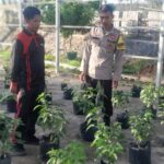 Dukung Program Asta Cita, Bhabinkamtibmas Desa Goa Dampingi Ketahanan Pangan Masyarakat Lewat Pekarangan Bergizi