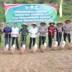 Polres Sumbawa Barat Gelar Tanam Jagung Kuartal III dan Pohon Keras Serentak Dukung Ketahanan Pangan Nasional