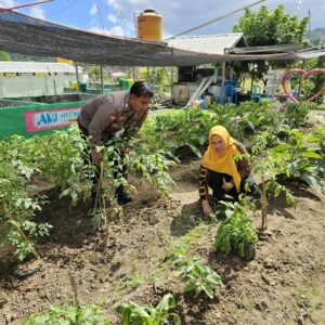 Bhabinkamtibmas Desa Sekongkang Atas Dampingi Warga Kelola Pekarangan Pangan Bergizi