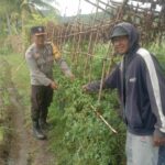 Bhabinkamtibmas Desa Rhee Gencarkan Ketahanan Pangan dengan Membantu Warga Manfaatkan Pekarangan