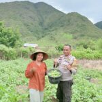 Sukseskan Program Ketahanan Pangan Nasional, Bhabinkamtibmas Polsek Monta Bantu Kegiatan Petani di Desa Binaan