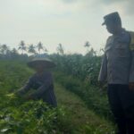 Bhabin Montong Are Garda Ketahanan Pangan dan Kamtibmas