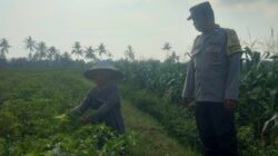 Bhabin Montong Are Garda Ketahanan Pangan dan Kamtibmas