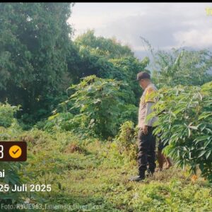 Bhabinkamtibmas Desa Luar Gencarkan Ketahanan Pangan di Dusun Stober, Ajak Warga Manfaatkan Lahan yang Kering