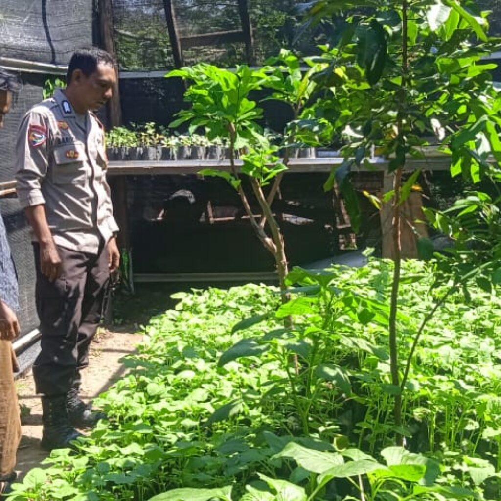 Bhabinkamtibmas Desa Tongo Dampingi Kegiatan Pengelolaan Pekarangan Pangan Bergizi