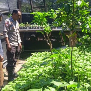 Bhabinkamtibmas Desa Tongo Dampingi Kegiatan Pengelolaan Pekarangan Pangan Bergizi