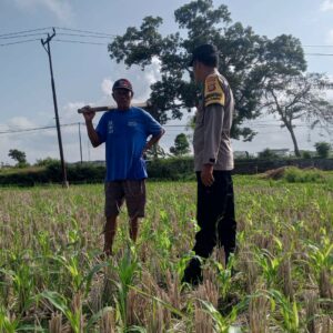 Bhabinkamtibmas Desa Kuripan Dorong Warga Optimalkan Pekarangan untuk Ketahanan Pangan