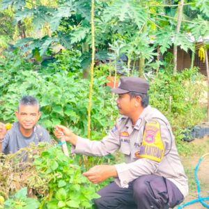 Bhabinkamtibmas Desa Mantun Dampingi Warga Kelola Pekarangan Pangan Bergizi, Dukung Ketahanan Pangan dan Program Asta Cita