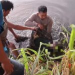 ‎Polres Loteng Evakuasi Penemuan Mayat di Aliran Sungai Kemulah.