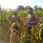 Ketahanan Pangan Dimulai dari Desa: Bhabinkamtibmas Jagaraga Dorong Pemanfaatan Lahan di Tambang Eleh