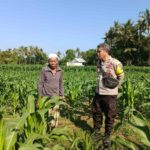 Bhabinkamtibmas Sandik Ajak Warga Perempung Manfaatkan Lahan untuk Swasembada Pangan