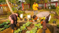 Jaga Ketahanan Pangan, Bhabinkamtibmas Kuripan Gelar Sosialisasi Pemanfaatan Lahan Produktif