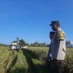 Kunjungan Bhabinkamtibmas Kuripan: Ajak Petani Wujudkan Ketahanan Pangan