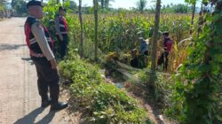 Polri Hadir di Tengah Petani, Jamin Ketahanan Pangan Melalui Patroli di Lombok Barat