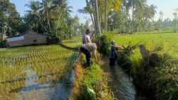 Bhabinkamtibmas Desa Jelantik Ajak Warga Gotong Royong Saluran Irigasi dan Jaga Kamtibmas