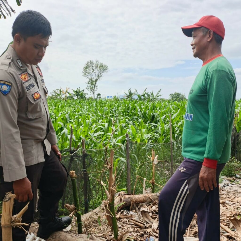 Sinergi Polsek Kediri dan Petani Banyumulek untuk Wujudkan Kemandirian Pangan