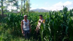 Polsek Kuripan Ajak Warga Desa Jagaraga Kembangkan Pertanian Produktif