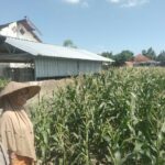 Bhabinkamtibmas Labuapi Dorong Petani Optimalkan Lahan Kosong untuk Ketahanan Pangan
