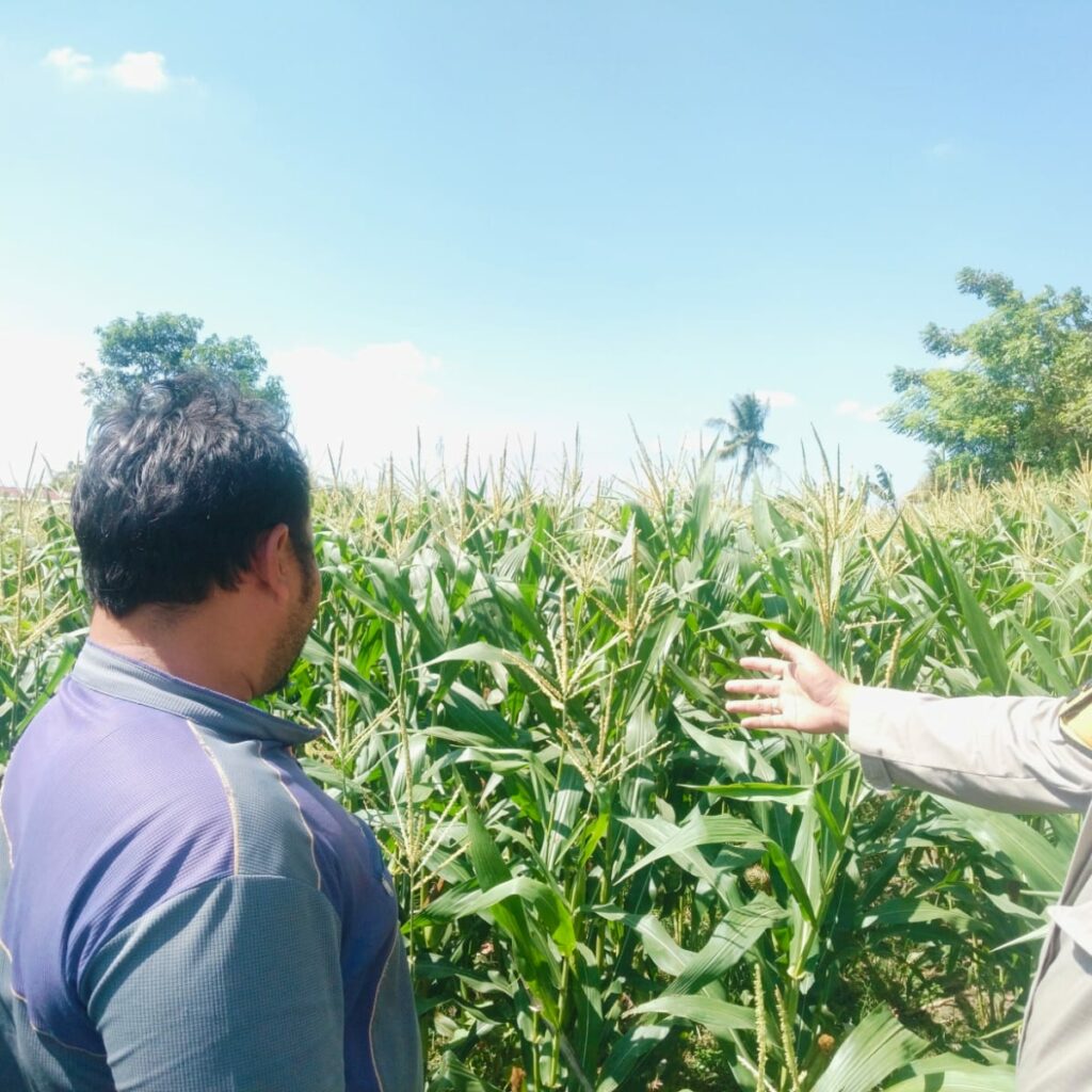 Polsek Labuapi Dorong Warga Desa Labuapi Manfaatkan Lahan Kosong untuk Ketahanan Pangan