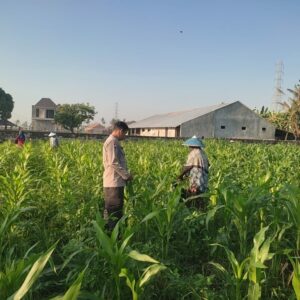Bhabinkamtibmas Desa Kuranji Dorong Warga Manfaatkan Lahan Kosong untuk Ketahanan Pangan