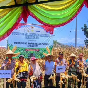 POLRES DOMPU DUKUNG PROGRAM SWASEMBADA PANGAN MELALUI PANEN RAYA JAGUNG SERENTAK KUARTAL III