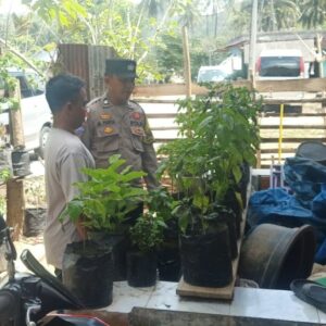 Polri Ajak Warga Desa Taman Baru Manfaatkan Pekarangan untuk Ketahanan Pangan