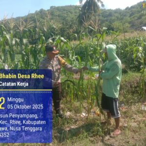 Dukung Ketahanan Pangan: BKTM Rhee Dampingi Petani di Lahan Persawahan