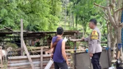 Sinergi Polsek Batulayar dan Warga Senggigi Wujudkan Desa Mandiri Pangan