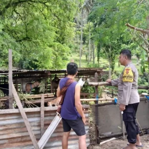 Bhabinkamtibmas Senggigi Dorong Pemanfaatan Lahan Kosong untuk Ketahanan Pangan Warga Dusun Loco
