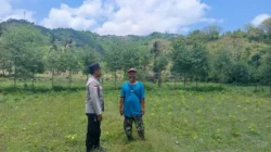 Bhabinkamtibmas Jadi Motor Ketahanan Pangan di Sekotong Barat