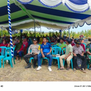 BHABINKAMTIBMAS DESA MBUJU POLSEK KILO POLRES DOMPU HADIRI ACARA PANEN RAYA JAGUNG DAN PERKENALAN PRODUK BIBIT BARU DARI PT ADVANTA