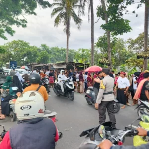 Polsek Kuripan Kawal Meriahnya Tradisi Nyongkolan di Lombok Barat