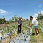 BKTM Rhee Loka Pantau Pemanfaatan Lahan Kosong, Dukung Program Ketahanan Pangan