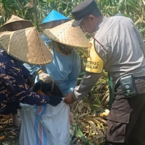 Polres Lombok Barat Cek Harga Beras, Pastikan Tak Ada Permainan Harga