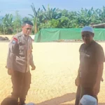 Bhabinkamtibmas Dorong Ketahanan Pangan Lewat Gudang Jagung di Babussalam