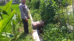 Bhabinkamtibmas Dorong Petani Jagaraga Wujudkan Swasembada Pangan
