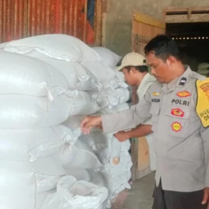 Polsek Gerung Kawal Distribusi Jagung NTB ke Bulog, Pastikan Kualitas Aman